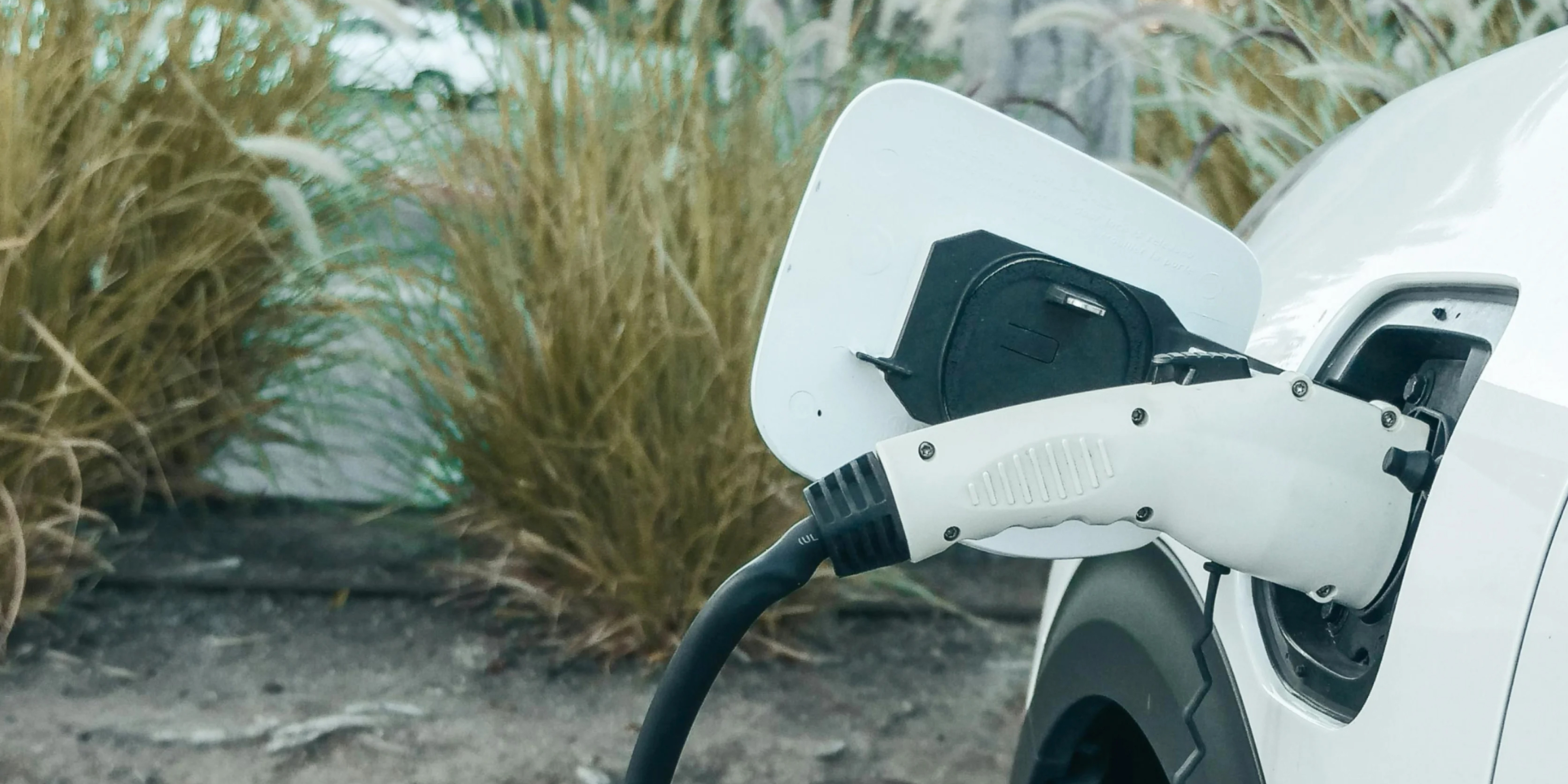 Why fleet electrification makes economic sense and how to transition to EVs for long-term success